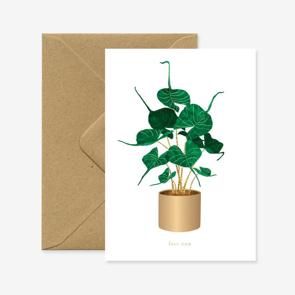 A greeting card featuring an illustration of an Alocasia Stingray plant in a gold pot, accompanied by a brown envelope.