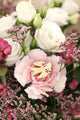 Lovebird enamel pin by All The Ways To Say among pink carnations and white roses – romantic floral flatlay