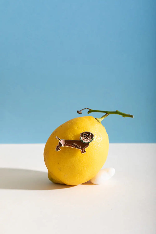 Chill Doggy - Pins showcased on a fresh lemon backdrop