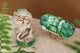 Tropical Green Cliff sunglasses case with matching jewelry case, decorated with lush green leaves pattern, styled with gold accessories.