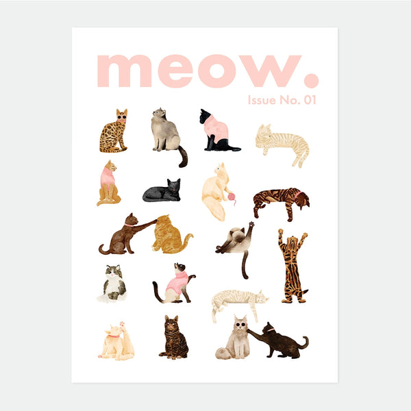 Illustrated poster designed as a magazine cover reading "meow. Issue No. 01," featuring twenty cats of different breeds and poses arranged in a grid